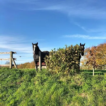 Le De La Poussiniere - Vue - Calme - Grand Jardin