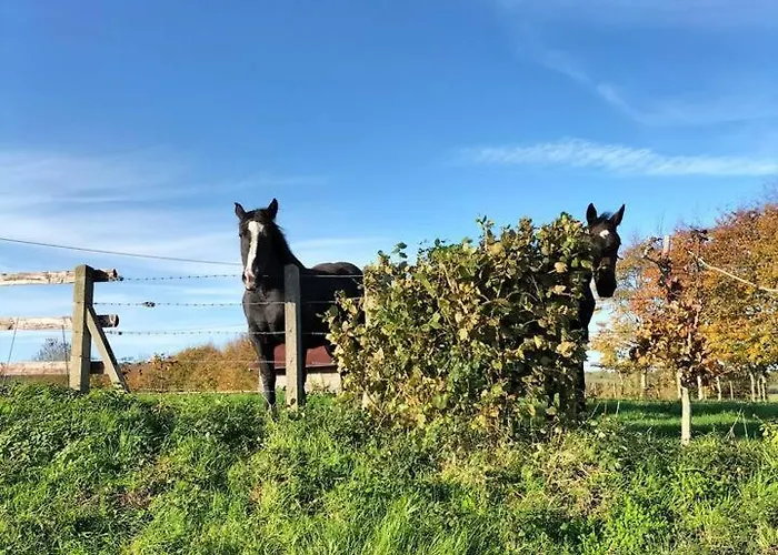Le De La Poussiniere - Vue - Calme - Grand Jardin